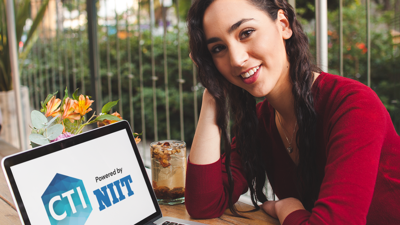 Nait Computer Software Development NIIT Courses